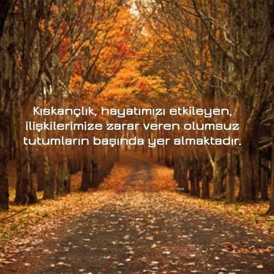 Kıskançlıktan ar damarınızın çatladığı oldu mu?