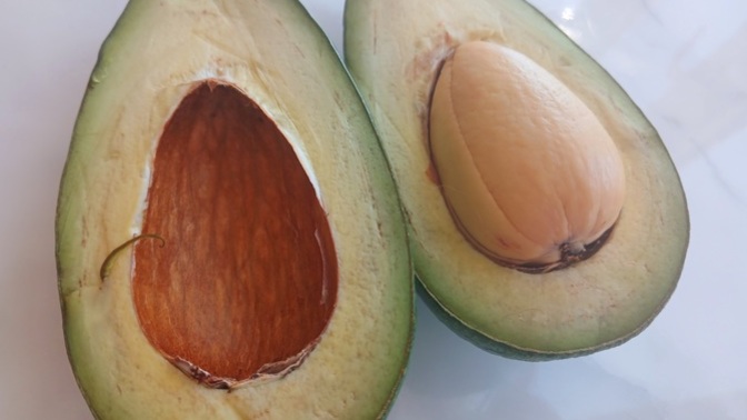 Avokado nasıl daha çabuk erer?