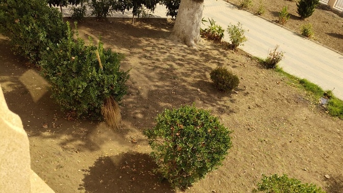 Biri bahçede cadı süpürgesini parkedip gitmiş numarada bırakmamış polisi çağırsam çekermi?🤔🤔🤔?