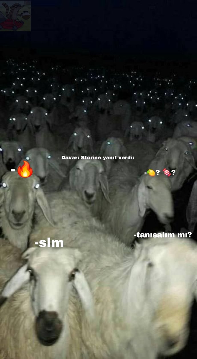 Kızların da böyleyse, erkeklerin nasıl acaba 😏