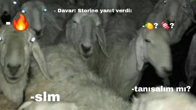 Dm’den karşı cinse yürüyen kadınlar da var mı?