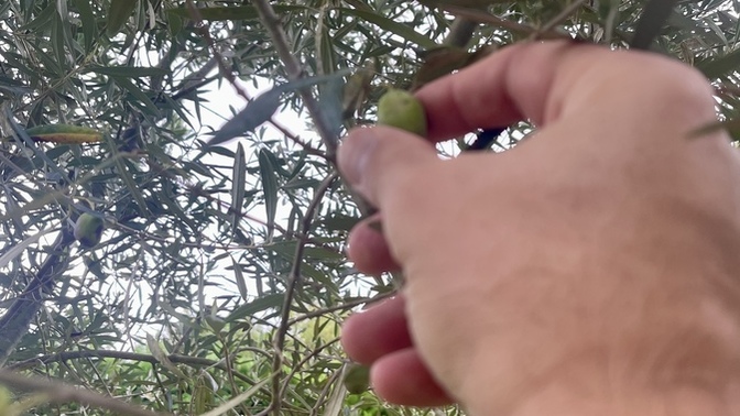 Bugün seni mutlu eden bir şey oldu mu?