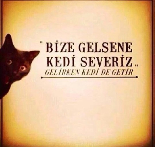 "Savaş mı çıktı?" diye mesaj atıp kalbini fethedenler! 💣❤️ Krizi fırsata çevirmek tam olarak böyle mi?