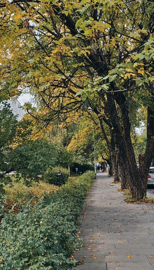 Sonbahar sizi nasıl etkiliyor?