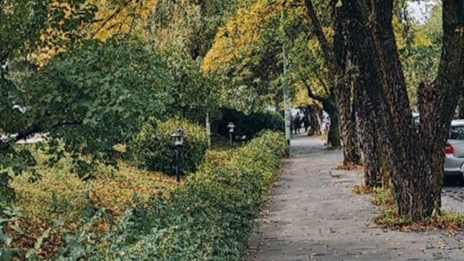 Sonbahar sizi nasıl etkiliyor?