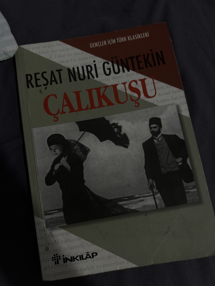 119 sayfalık Çalıkuşu okudum , tam sayfalık olanını da mı okumalıyım?