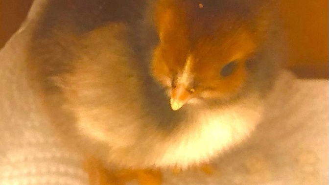 Galerinizdeki En Şirin Fotoğraf ne?