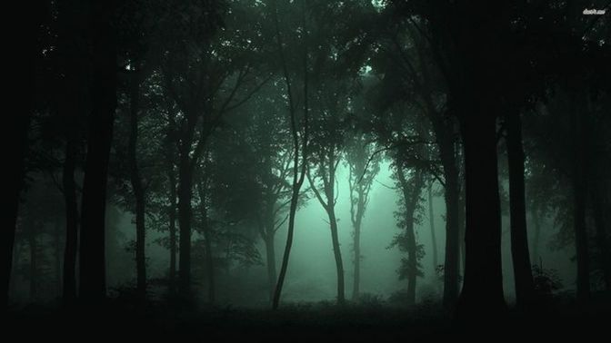 Gece zifiri karanlık bir ormana tek başına girebilir misiniz?