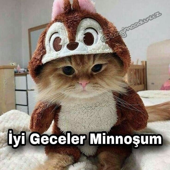 Geceniz hayrolsun muu?