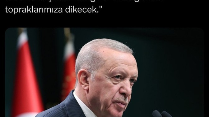 Sizce Erdoğan ne demek istedi?
