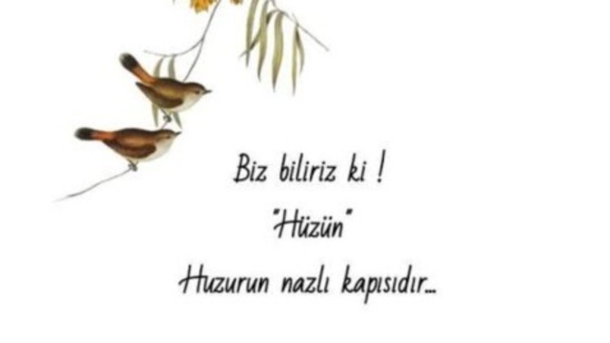 Tam olarak aldandigimiz neydi?