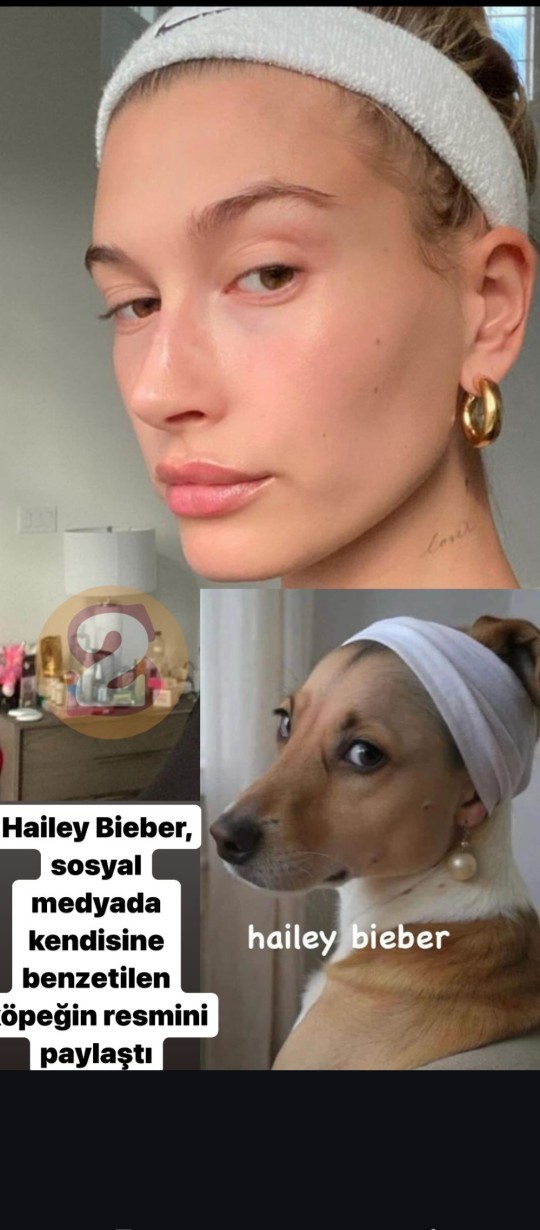 Sizi köpeğe 🐶 benzetseler ne yapardınız?
