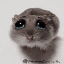 Evinize gelen misafir çocuğu bunu yapsa tepkiniz nasıl olur du?🤭🤭🤭?