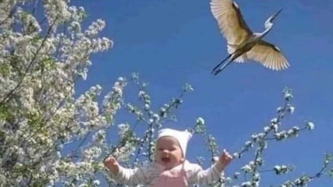 Çocukken yanlış bildiğiniz bir şeyler var mıydı ?