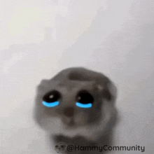Bir erkeğe kaç kere şans verilmeli?