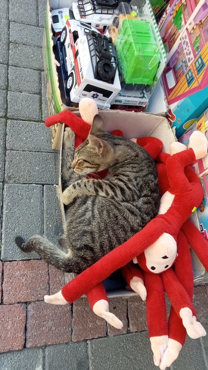 Uykunuz gelirse her yerde uyur musunuz?