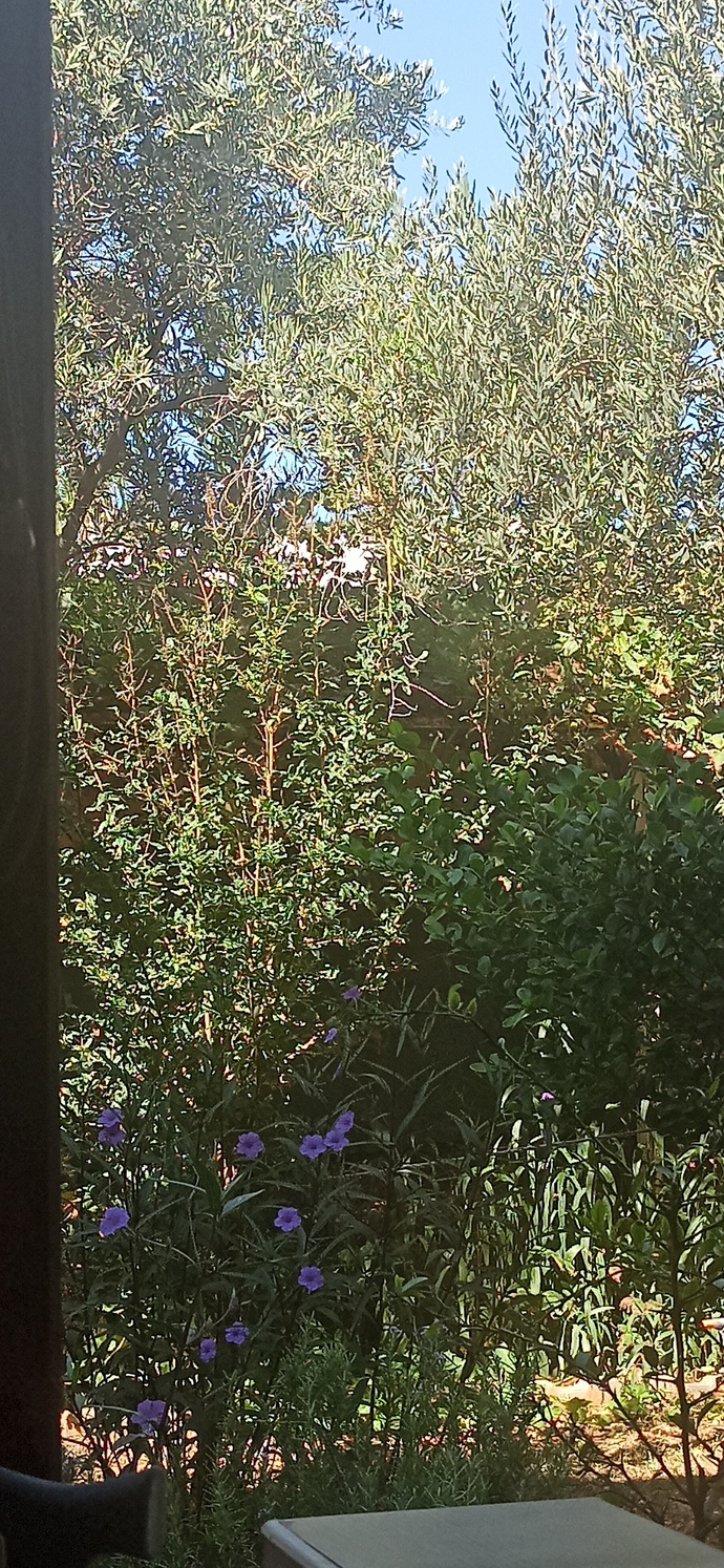 Mutlu haftasonları mı🌼?