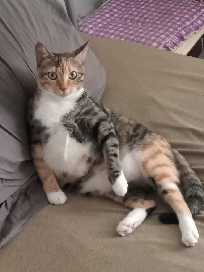 Mutlu haftasonları mı🌼?