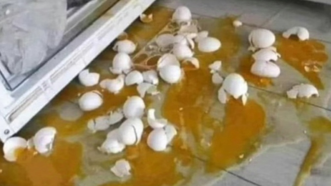 Benim için iki yumurta bile kıramaz diyenler vardı neredeler hani bi göreyim?🤭🤭🤭?