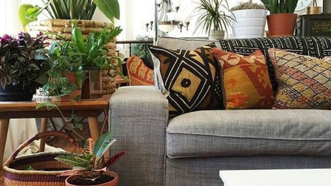 Bitkilerle evini daha modern bir hale getirmek için nasıl bir düzenleme yapabilirsin?