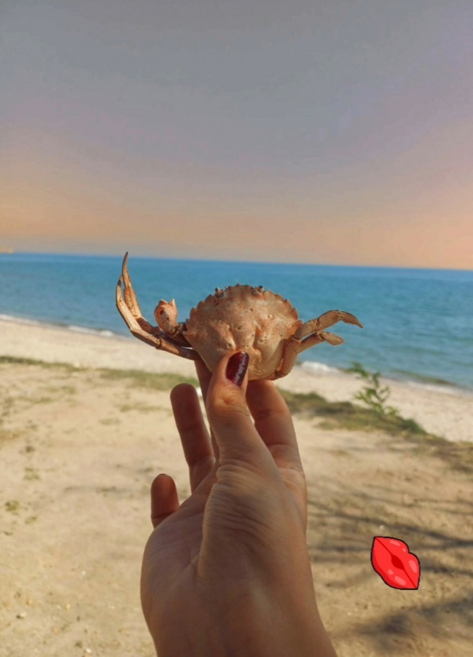 Bugün şans sizden yana mı?