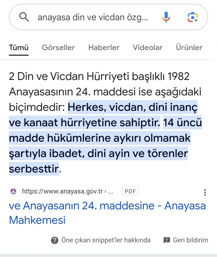 İlgili anayasa maddesi