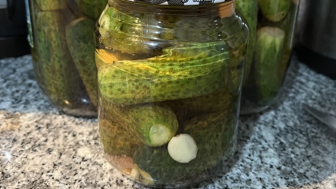 Sizce turşularım güzel olacak mııı🥹?