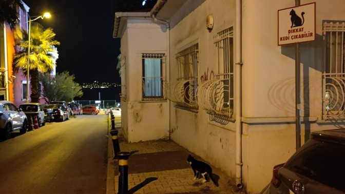 Uyarıları Dikkate alır mısınız?