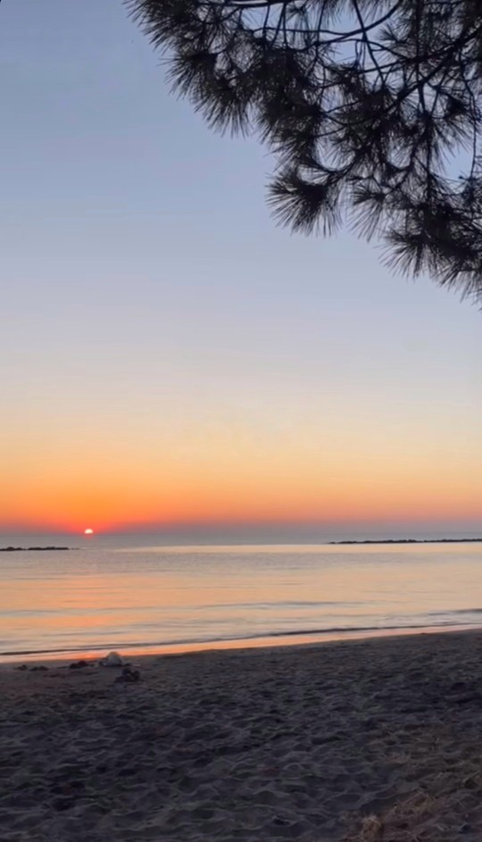 Günaydın , Seni pazar sabahı yataktan kaldıran nedir?
