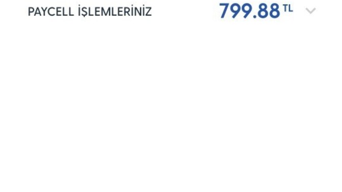 Bu fatura neyin nesi ya?