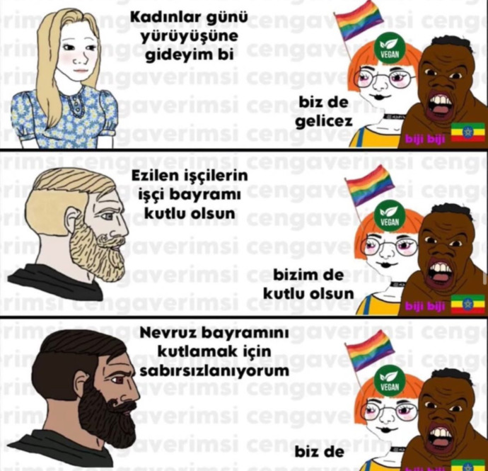 Atatürkçü, Cumhuriyet kadınlarının Kadın eylemini terk etmeleri hakkında ne düşünüyorsunuz?