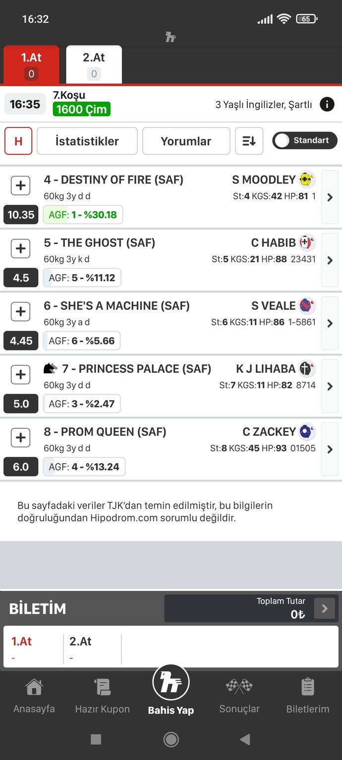 At yarışında favori at hangisi oluyor?