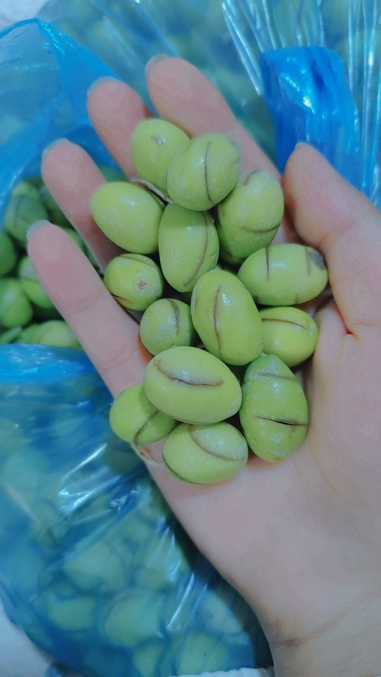 Zeytin nasıl kurulur en iyi yöntem hangisi?
