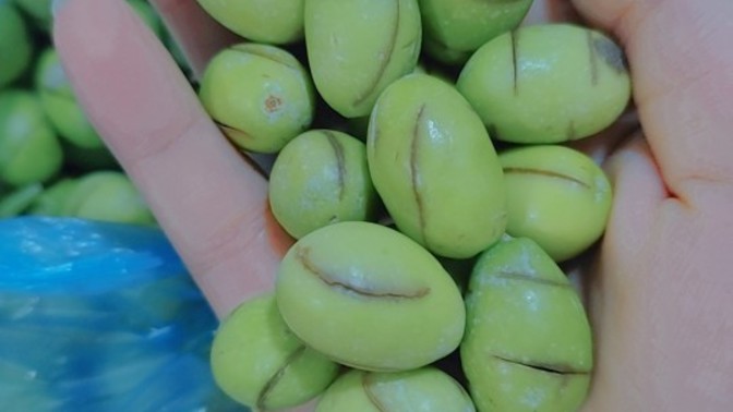 Zeytin nasıl kurulur en iyi yöntem hangisi?