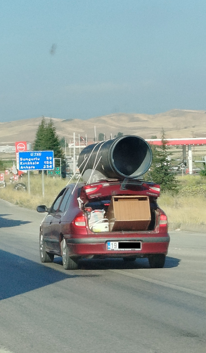 Yolda giderken bunu görseniz Nasıl tepki verirdiniz?