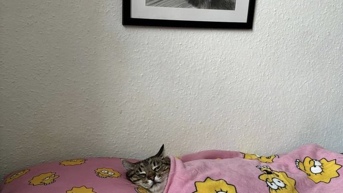 Günaydın olabildiniz mi Pazartesi'ye?