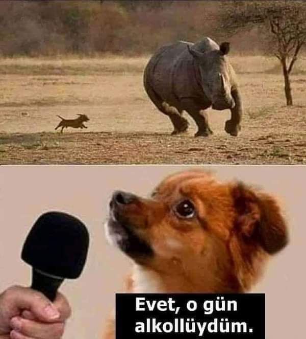 doktor yok mu? Dooğğğktooor dkfdf
