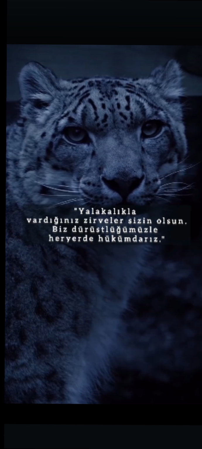 Eski dosttan düşman olur mu?