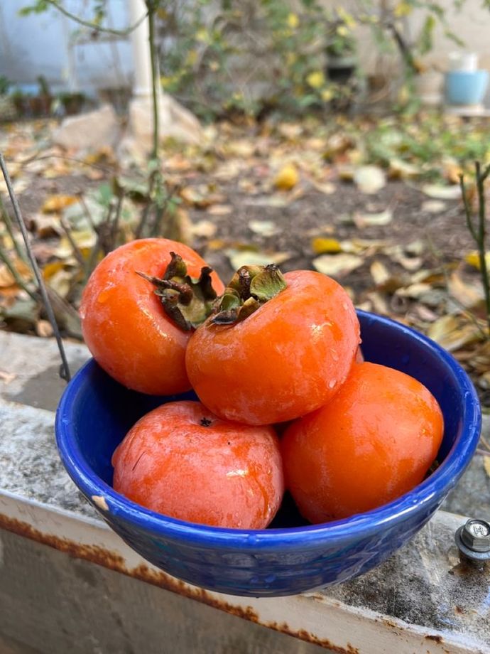 bu zamanların en iyisi🧡