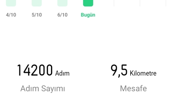 Bugün ne kadar adım attınız?