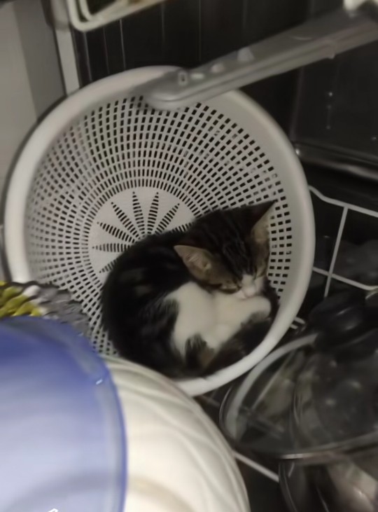 Ait olmadığın yerde mutlu olabilir misin?