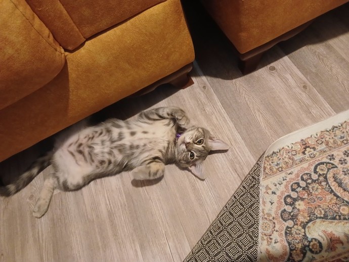 Bakışlarıyla içinizi ısıtan biri var mı?
