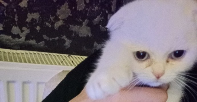 Bakışlarıyla içinizi ısıtan biri var mı?