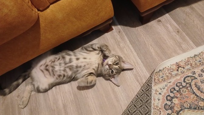 Bakışlarıyla içinizi ısıtan biri var mı?