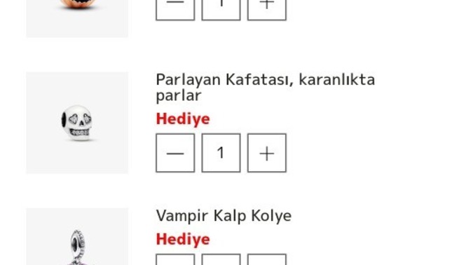Kızlar bu gerçek mi instagramda karşıma çıktı kesin dolandırıcı demi?
