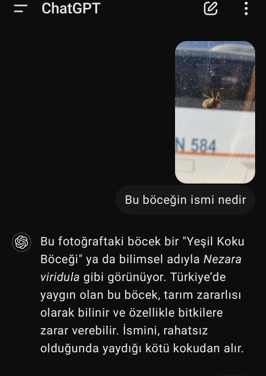 Yapay zekayı ne sıklıkla kullanıyorsunuz?
