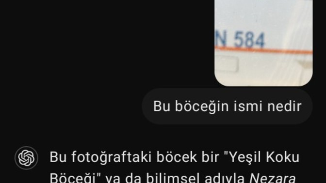 Yapay zekayı ne sıklıkla kullanıyorsunuz?