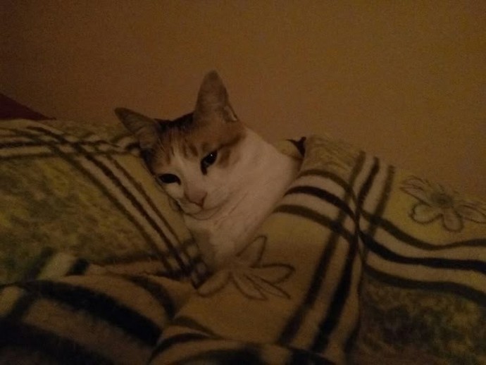 Gününüz nasıl geçti arkadaşlarr 😃?