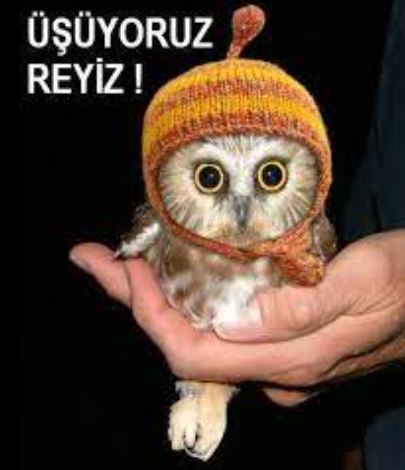 Beyler napıyosunuzz nasılsınızz?