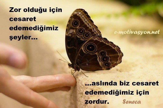 Senecanın bu görüşü hakkında ne düşünüyorsunuz?